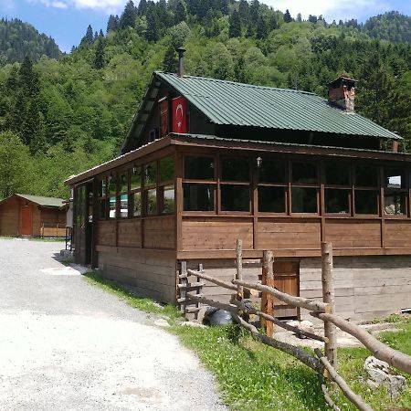 Kardelen Bungalov Evleri̇ Villa Ayder Yaylasi Exterior photo