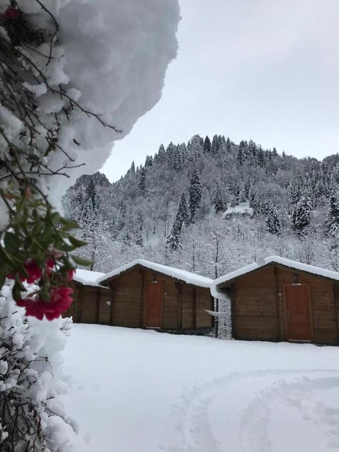 Kardelen Bungalov Evleri̇ Villa Ayder Yaylasi Exterior photo