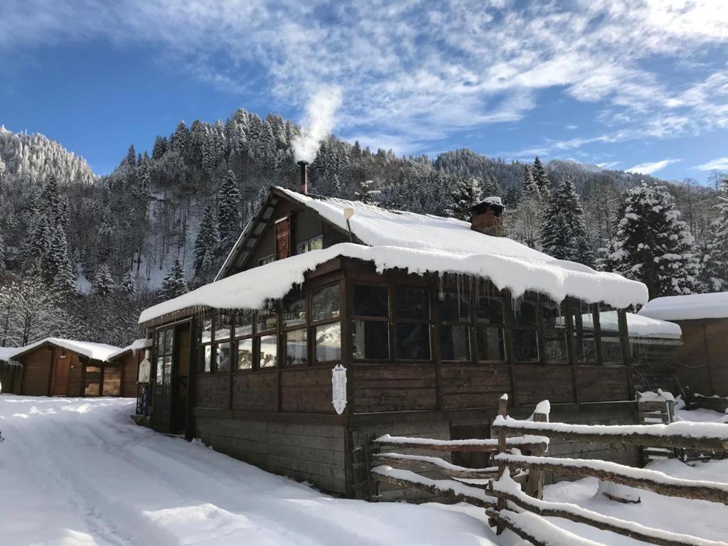 Kardelen Bungalov Evleri̇ Villa Ayder Yaylasi Exterior photo